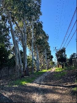 2809 Vía La Selva, Palos Verdes Estates, CA 90274