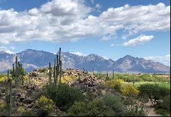 1194 W Tortolita Mountain Circle, Oro Valley, AZ 85755