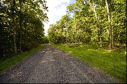 Mercer Mountain Road, Canaan, NY 12060