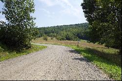 Mercer Mountain Road, Canaan, NY 12060