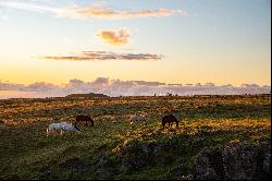 Kohala Ranch Road Lot 365, Kamuela, HI 96743