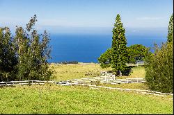 Kohala Ranch Road Lot 365, Kamuela, HI 96743