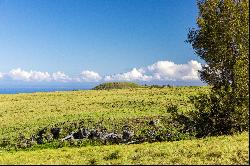 Kohala Ranch Road Lot 365, Kamuela, HI 96743