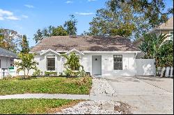 3815 West San Juan Street, TAMPA, FL, 33629