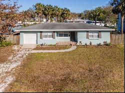 3414 South Gardenia Avenue, TAMPA, FL, 33629