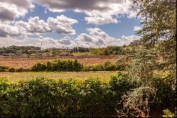 Farm/Ranch/Plantation for sale in Orvieto (Italy)