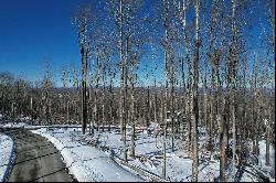 BANNER ELK - THE LODGES AT EAGLES NEST