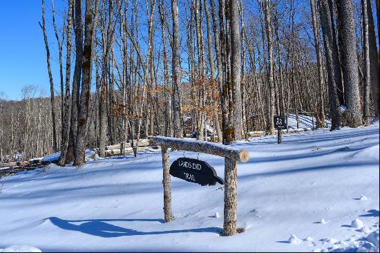 BANNER ELK - THE LODGES AT EAGLES NEST