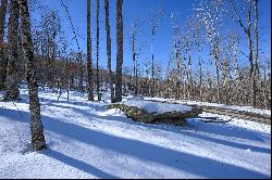 BANNER ELK - THE LODGES AT EAGLES NEST