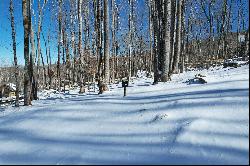 BANNER ELK - THE LODGES AT EAGLES NEST