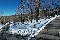 BANNER ELK - THE LODGES AT EAGLES NEST