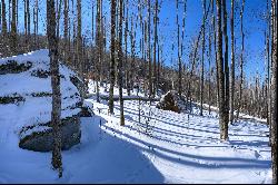 BANNER ELK - THE LODGES AT EAGLES NEST