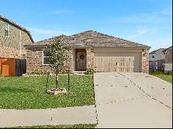 208 Magione Street, Hutto, TX 78634