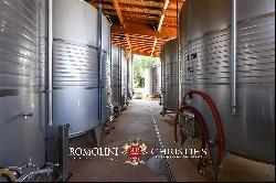 STATE-OF-THE ART WINE ESTATE, WINERY, 40.5 HA OF VINEYARDS FOR SALE, BRUNELLO DI MONTALCI