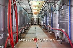 STATE-OF-THE ART WINE ESTATE, WINERY, 40.5 HA OF VINEYARDS FOR SALE, BRUNELLO DI MONTALCI