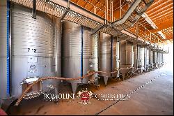 STATE-OF-THE ART WINE ESTATE, WINERY, 40.5 HA OF VINEYARDS FOR SALE, BRUNELLO DI MONTALCI