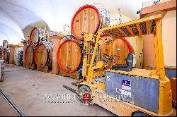 STATE-OF-THE ART WINE ESTATE, WINERY, 40.5 HA OF VINEYARDS FOR SALE, BRUNELLO DI MONTALCI