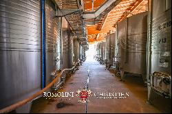 STATE-OF-THE ART WINE ESTATE, WINERY, 40.5 HA OF VINEYARDS FOR SALE, BRUNELLO DI MONTALCI