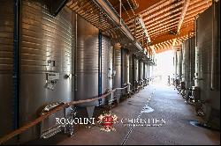 STATE-OF-THE ART WINE ESTATE, WINERY, 40.5 HA OF VINEYARDS FOR SALE, BRUNELLO DI MONTALCI