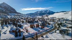 870 Gothic Road, Mt. Crested Butte CO 81225