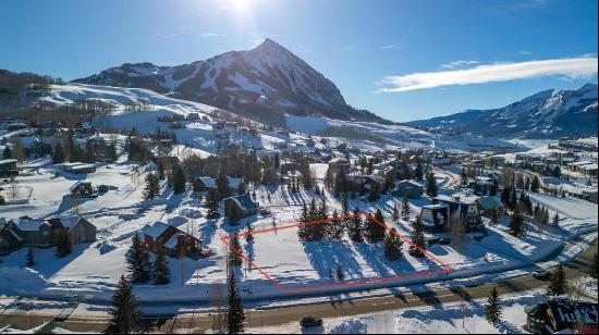 870 Gothic Road, Mt. Crested Butte CO 81225