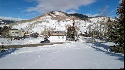 870 Gothic Road, Mt. Crested Butte CO 81225