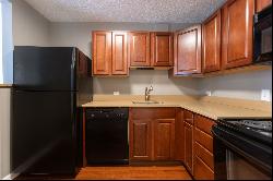 33 W Delaware Place #14G, Chicago IL 60610