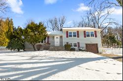 11 Rale Ter, Livingston Twp. NJ 07039