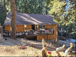 33637 Cold Springs Trail, Palomar Mountain CA 92082