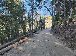 33637 Cold Springs Trail, Palomar Mountain CA 92082