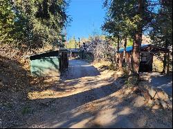 33637 Cold Springs Trail, Palomar Mountain CA 92082