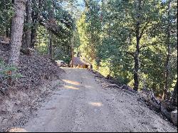 33637 Cold Springs Trail, Palomar Mountain CA 92082