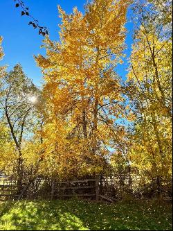 TBD Sourdough Road, Bozeman MT 59715