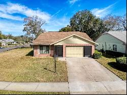 11729 White Ash Drive, New Port Richey FL 34654