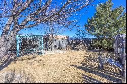 46 Irish Road, Ranchos De Taos NM 87557