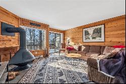 55 Swiss Mountain Dr, Seven Springs Resort PA 15622