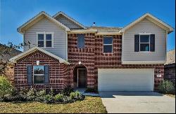 1618 Claire Creek Court, Houston TX 77494