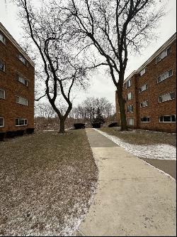 1819 W Thome Avenue #N305, Chicago IL 60660