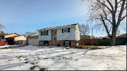 20 Paul Drive, Granite City IL 62040