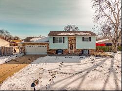 20 Paul Drive, Granite City IL 62040