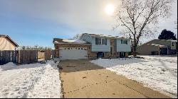 20 Paul Drive, Granite City IL 62040