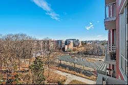 400 Hunt Street Unit 501, Durham NC 27701