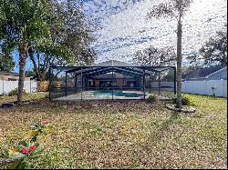 1035 Dockside Drive, Lutz FL 33559