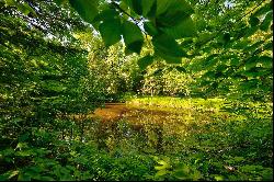 Sainte-Anne-des-Lacs, Laurentides