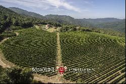 4,900-ACRE PRIVATE TUSCAN ESTATE VINEYARDS, CASTLE, HUNTING RESERVE, FARMHOUSES