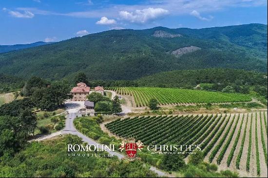 4,900-ACRE PRIVATE TUSCAN ESTATE VINEYARDS, CASTLE, HUNTING RESERVE, FARMHOUSES