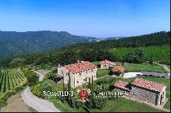 4,900-ACRE PRIVATE TUSCAN ESTATE VINEYARDS, CASTLE, HUNTING RESERVE, FARMHOUSES