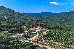 4,900-ACRE PRIVATE TUSCAN ESTATE VINEYARDS, CASTLE, HUNTING RESERVE, FARMHOUSES