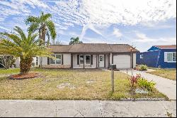 3334 Rock Valley Drive, HOLIDAY, FL, 34691