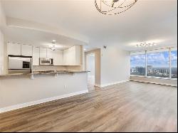 3338 Peachtree Road #3001, Atlanta GA 30326